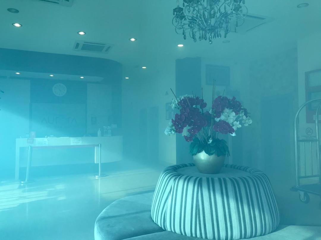 Aurora Boutique Hotel Bahau Екстер'єр фото